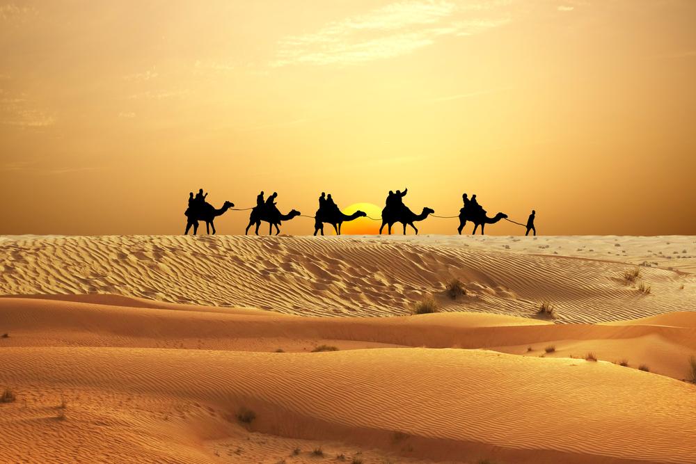 Best Places to See During a Family Vacation in Dubai