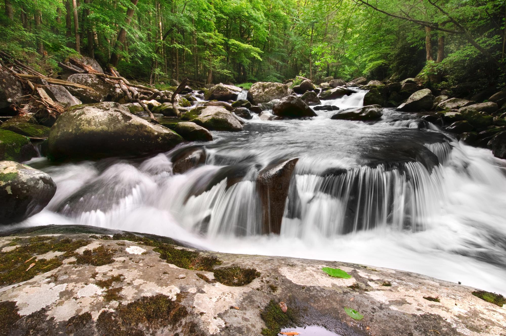 Best National Parks for Grandparents and Grandkids: Family Friendly Outdoor Adventures - Waterfall in the Great Smoky Mountains